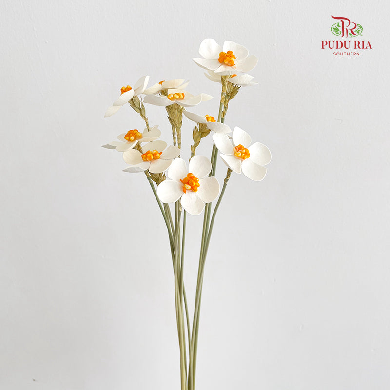 Dry Violet - White Center Orange