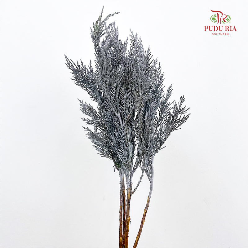 Cedar X mas Dyed Color Silver - (Per Bundle)