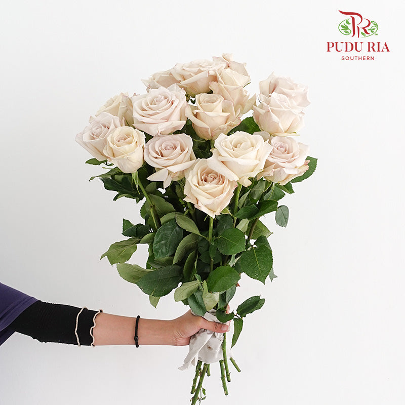 Rose Ally - (15 Stems)