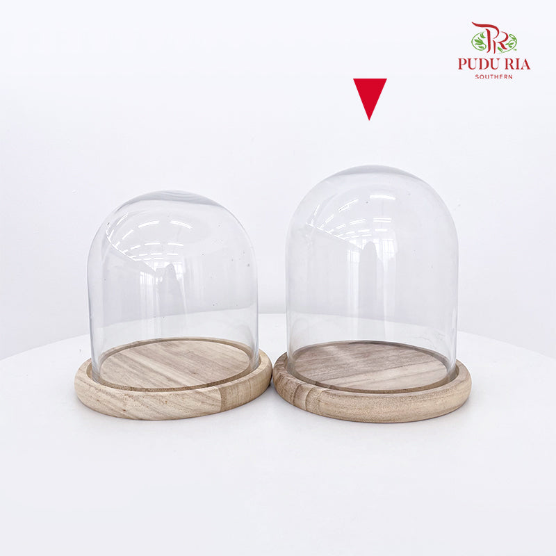 Cloche Bell Jar (16CM - 18CM)