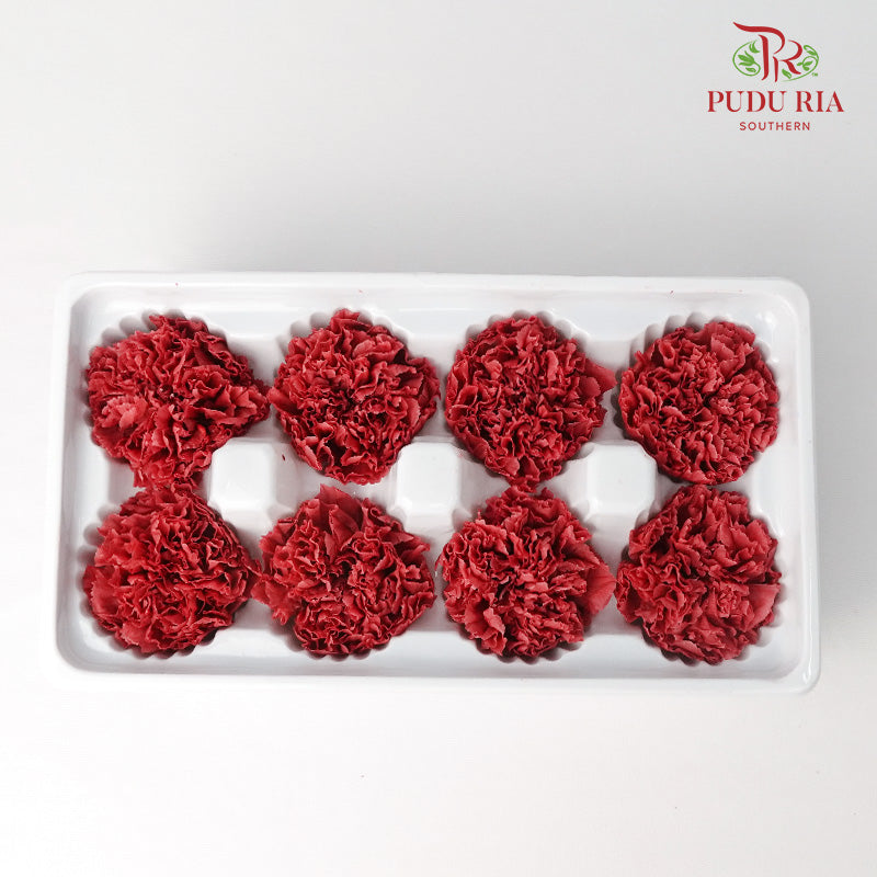 8 Bloom Carnation - Brown - Pudu Ria Florist Southern