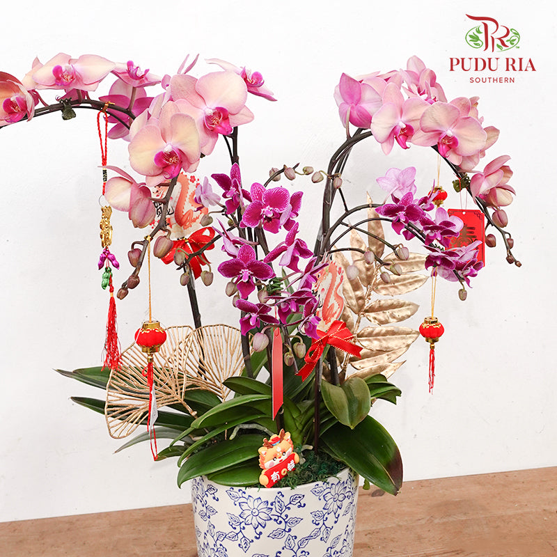 CNY Potted Plant Arrangement 2024#72