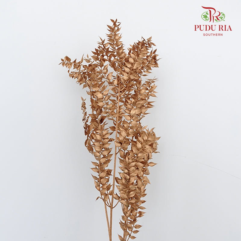 Dry Ruscus Dyed - Gold