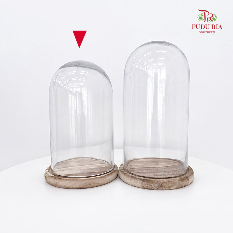 Cloche Bell Jar (25CM - 30CM)