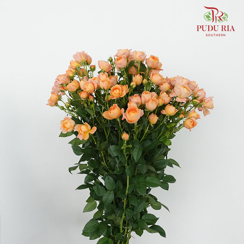 Rose Spray Juice Terrace (8-10 Stems) - Pudu Ria Florist Southern