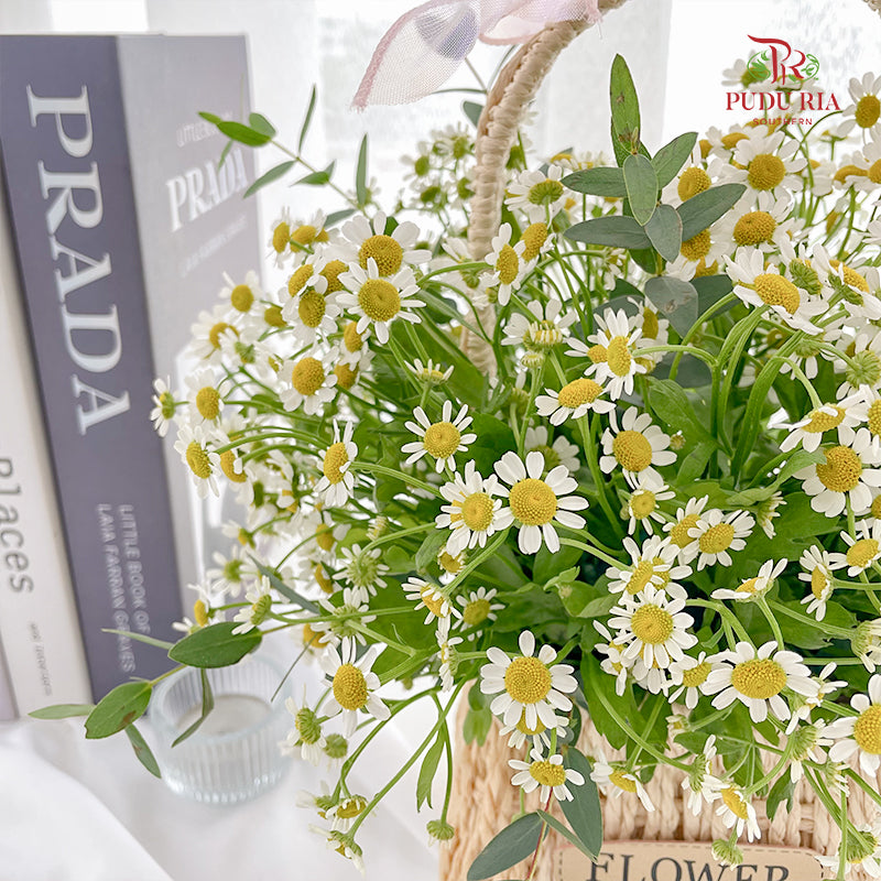 Matricaria Basket Arrangement