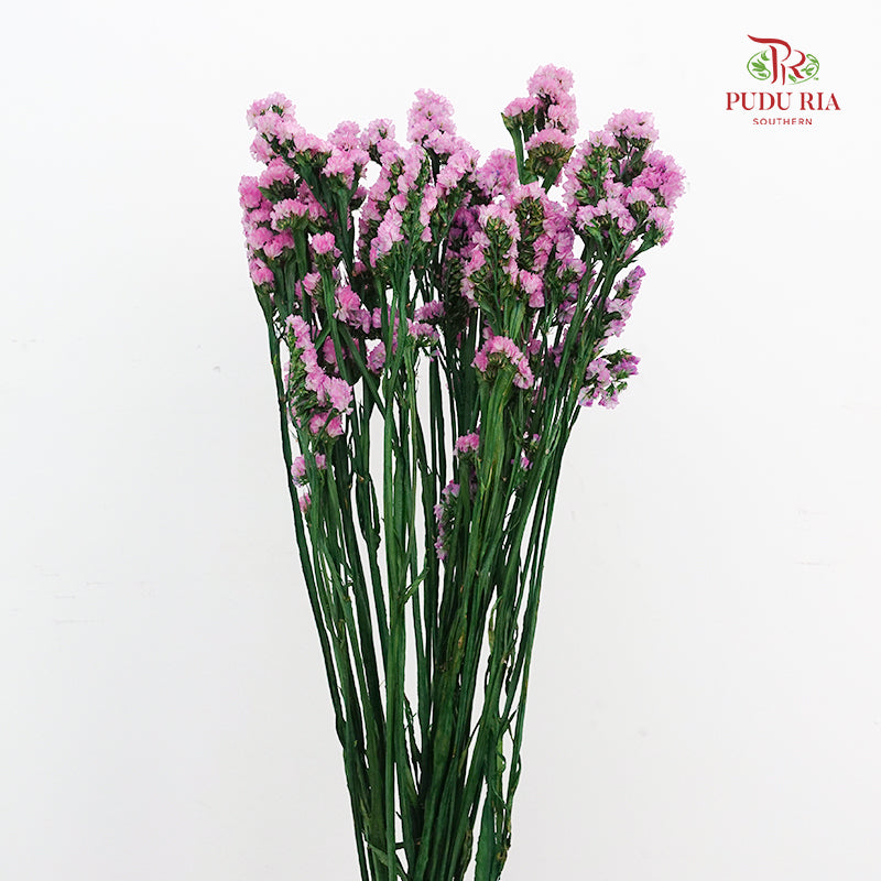 Dry Statice - Pink