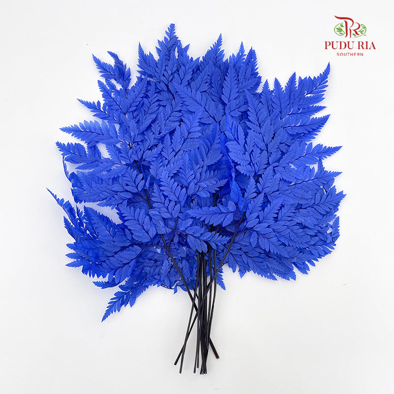 Preservative Fern - Blue