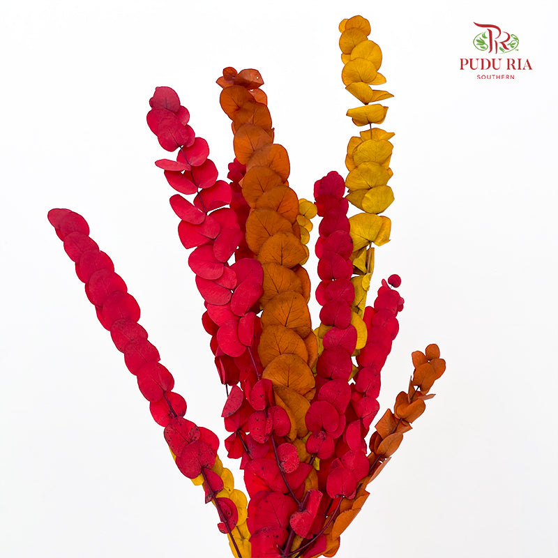 Preservative Eucalyptus