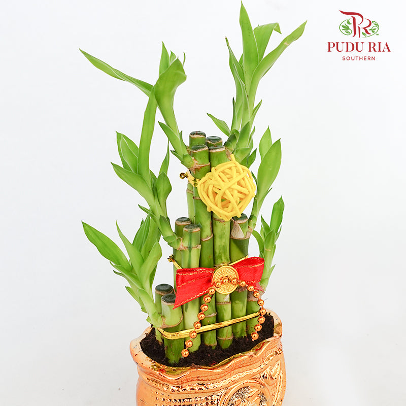 CNY Potted Plant Arrangement 2024#29