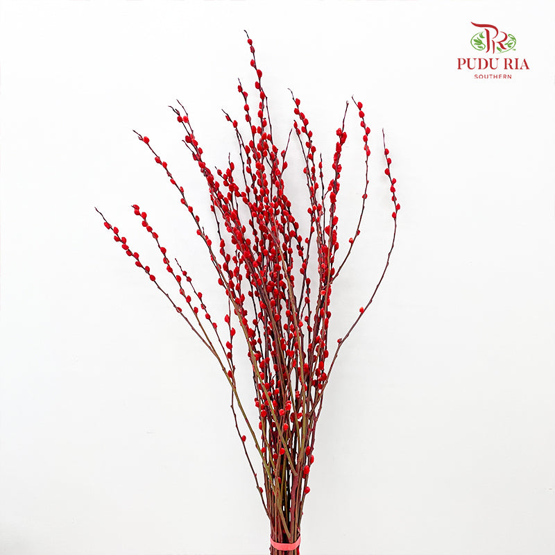 银柳分枝 Pussy Willow Spray Red (5FT) - (12 Stems)