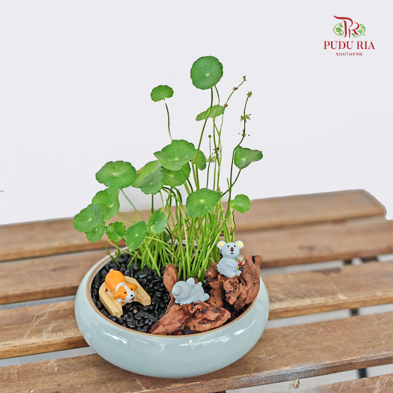 Potted Plant Arrangement Wholesale flowers delivery in JB & Singapor