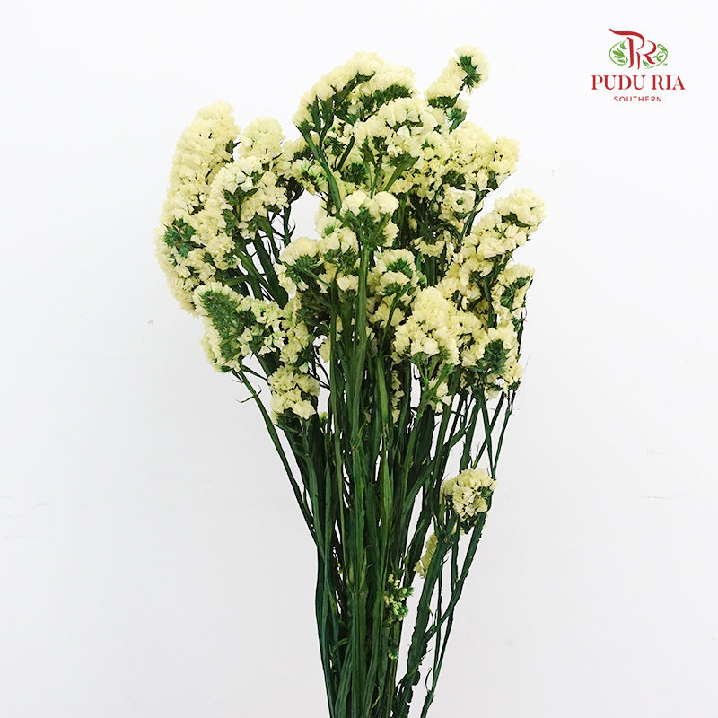 Dry Statice - Yellow