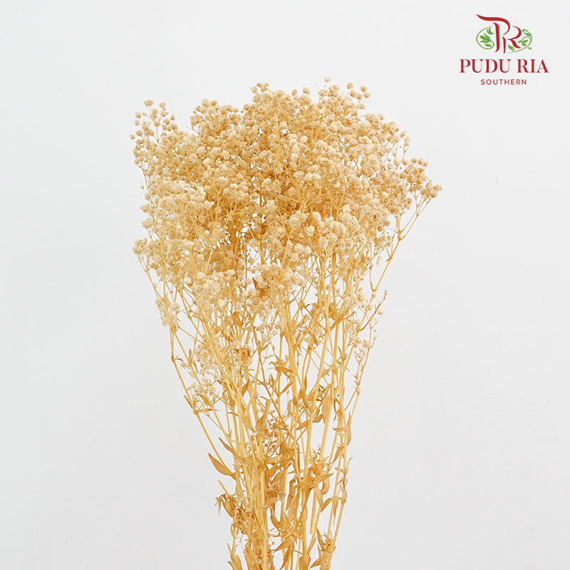Preservative Baby Breath - Light Colour