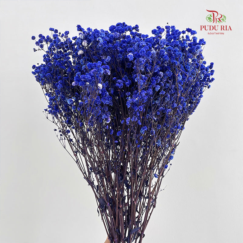 Preservative Baby Breath - Dark Blue