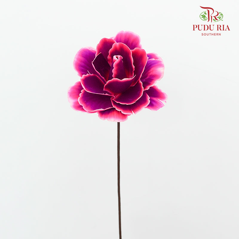 Dry Asia Peony Purple/Pink - 4 Stems