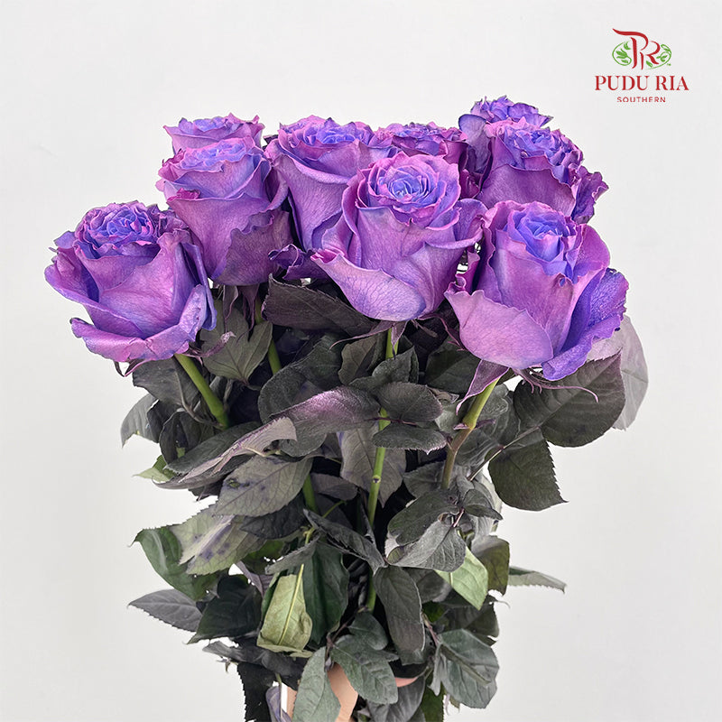 Rose Mondial Dyed Dewberry Metallic - (8-10 Stems)