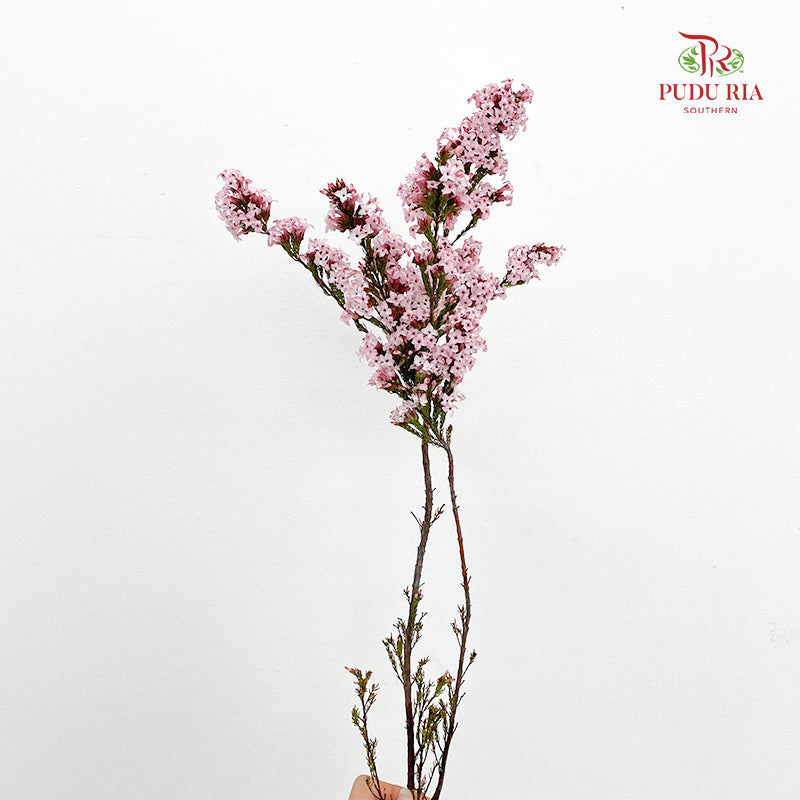 Erica Light Pink - (Per Bundle)