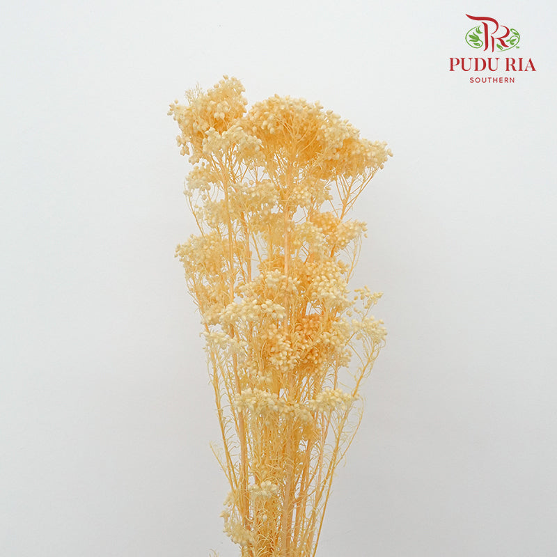 Preservative Rice Flower - Natural - Pudu Ria Florist Southern