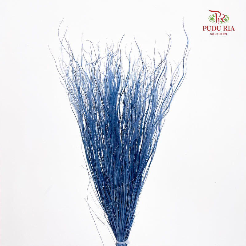 Dry Stipa Grass (Feather Grass) Blue