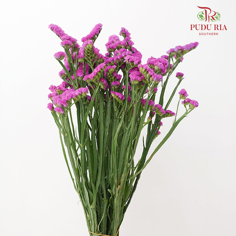 Statice Dark Pink - (Per Bundle)