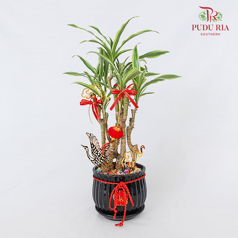 CNY Potted Plant Arrangement 2024#43