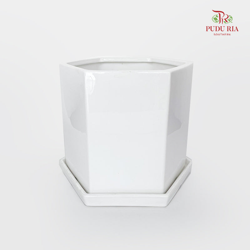 GF8116-4 White Pot