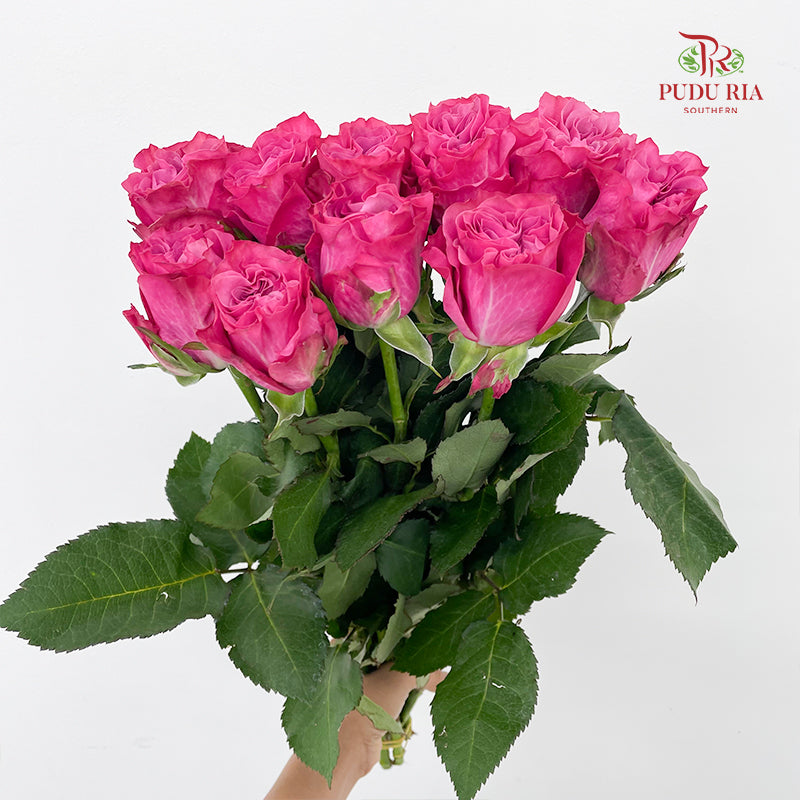 Rose Country Blues - (8-10 Stems)