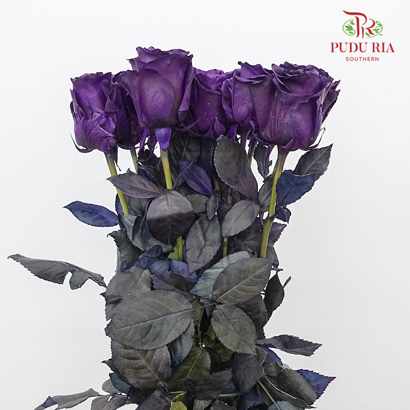 Rose Purple Amethyst (8-10 Stems) - Pudu Ria Florist Southern