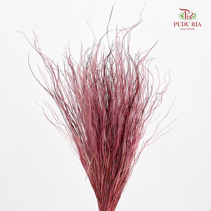 Dry Stipa Grass (Feather Grass) Red Wine