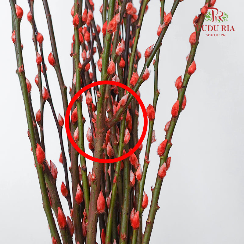 银柳分枝 Pussy Willow Spray Peach (6FT) - (12 Stems)