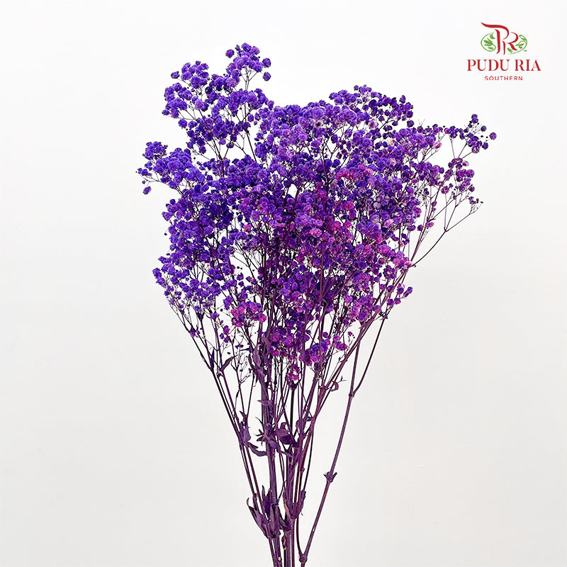 Preservative Baby Breath - Dark Purple