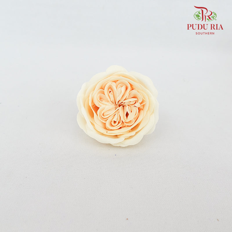 16 Bloom Austin Soap Flower Golden Haze - FBA088#4