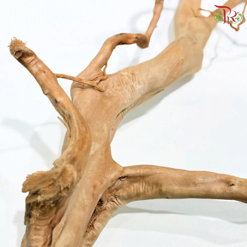 FINE STRIP DUJUANGEN ROOT 精品条形杜鹃根 1KG