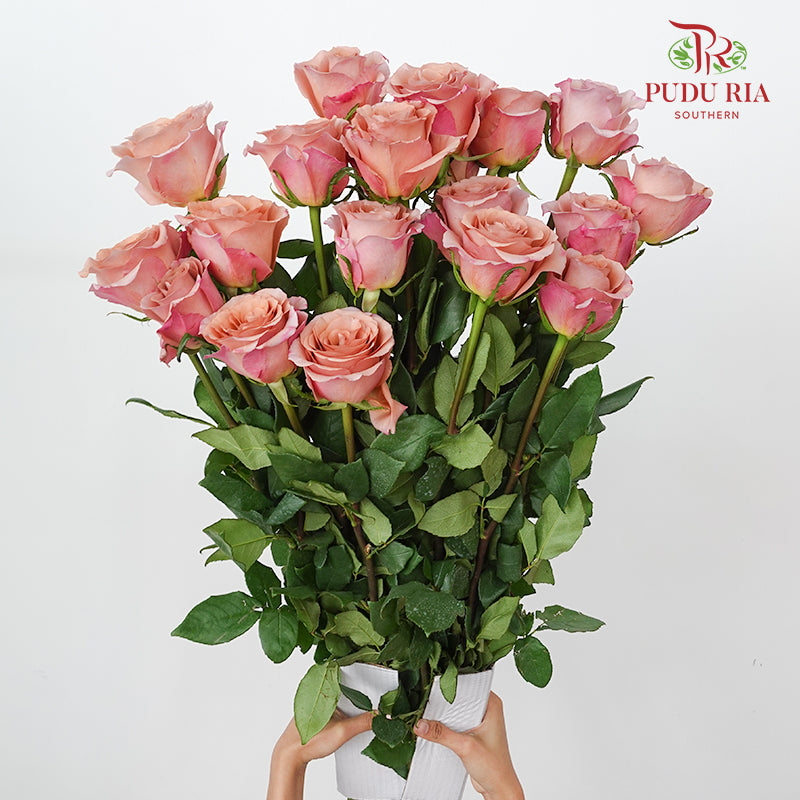 Rose Moab - (19-20 Stems)