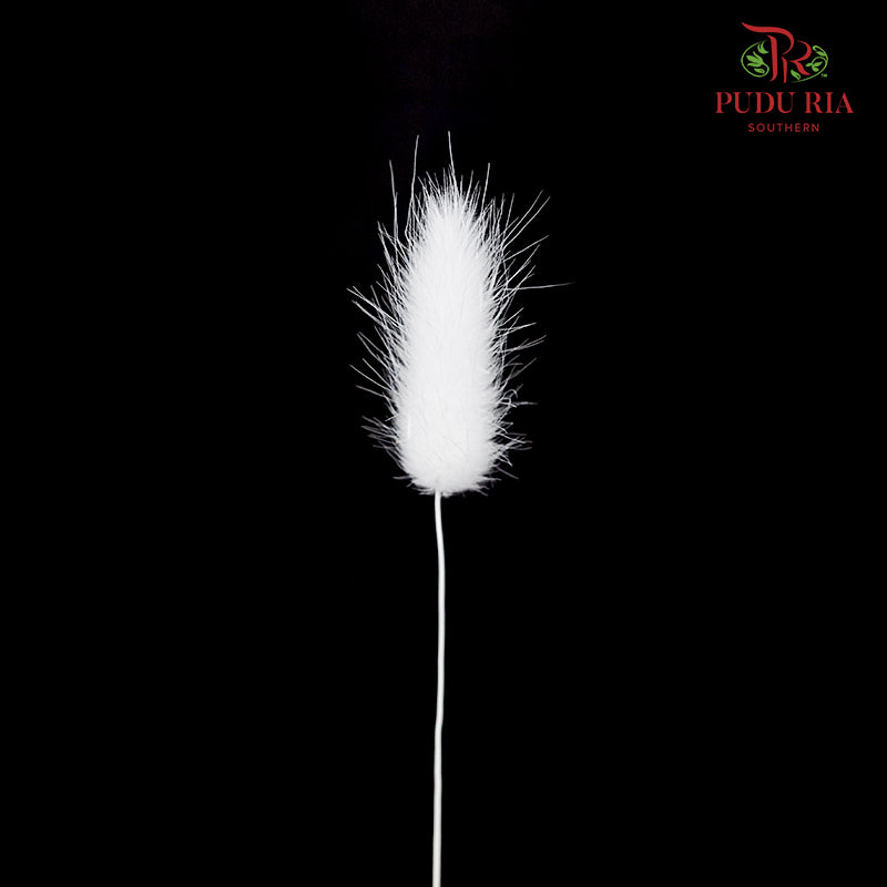 Dry Bunny Tails - White