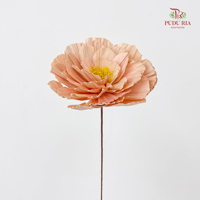 Dry Peony Handmade Apricot - Per Stem