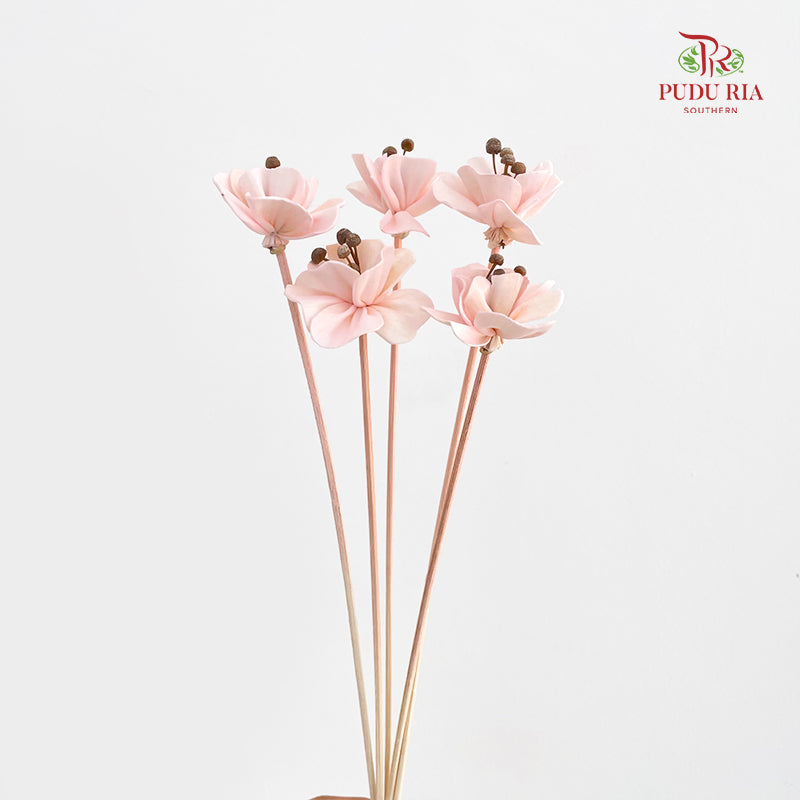 Dry Small Pomegranate Flower - Light Pink