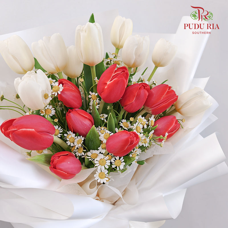 Tulip Bouquet (20 Stems)