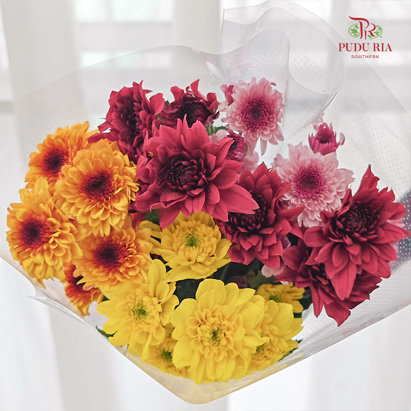 Chrysanthemum Pompom Mix Colour - (5 Stems)