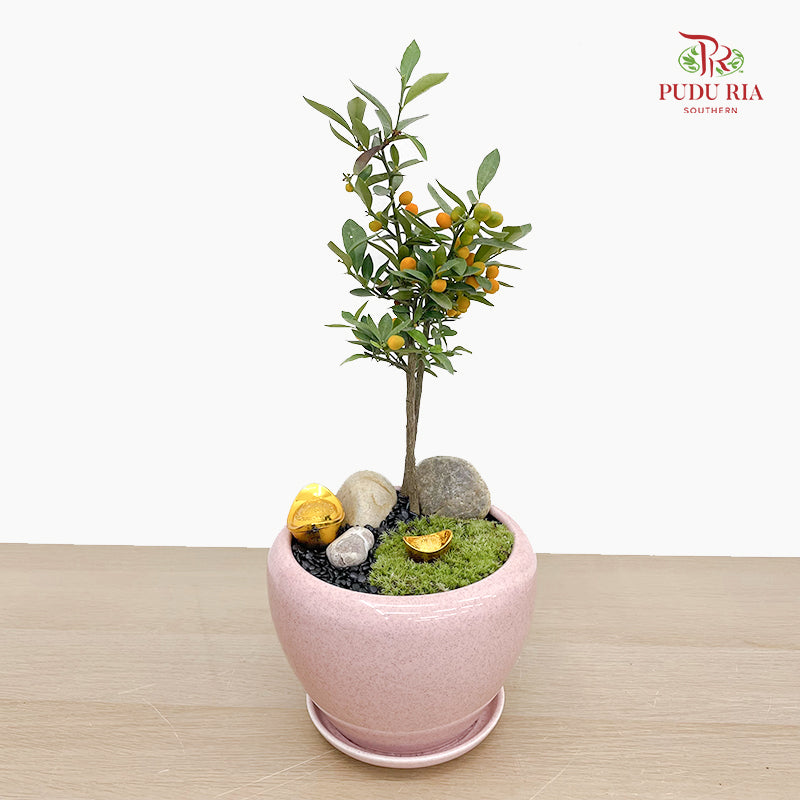 CNY Potted Plant Arrangement 2025#33