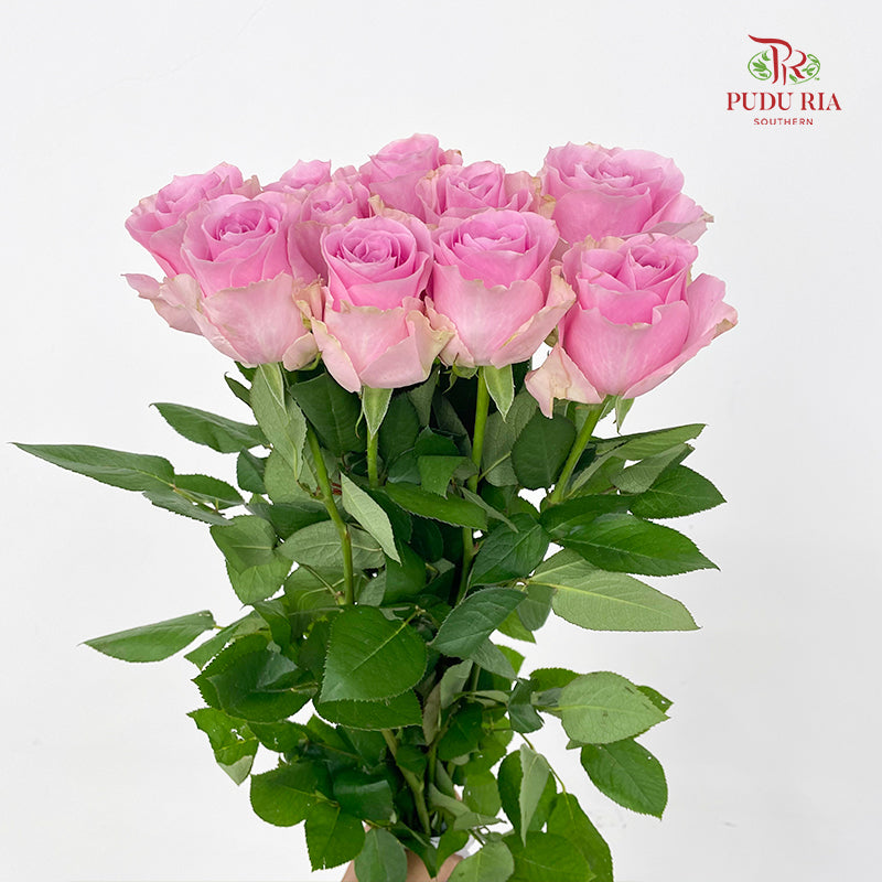 Rose Pink Sweet Avalanche - (8-10 Stems)