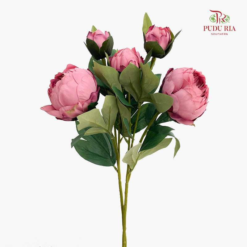 CNY Artificial Peony Sarah Spray Pink 80cm - (2 Stems)