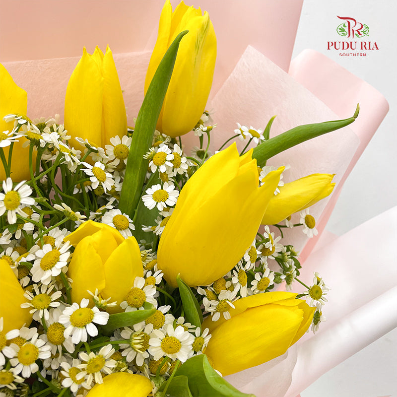 Tulip Bouquet (10 Stems)