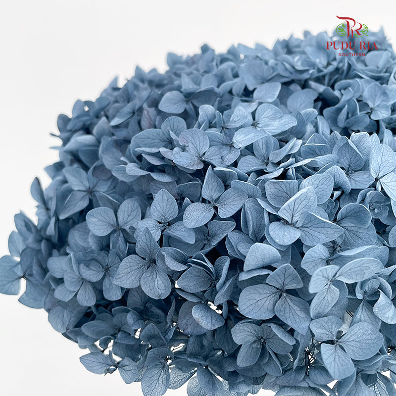 Preservative Hydrangea - Slate Blue / Per Stem