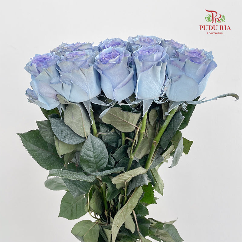 Rose Mondial Dyed Sand Baby Blue - (8-10 Stems)