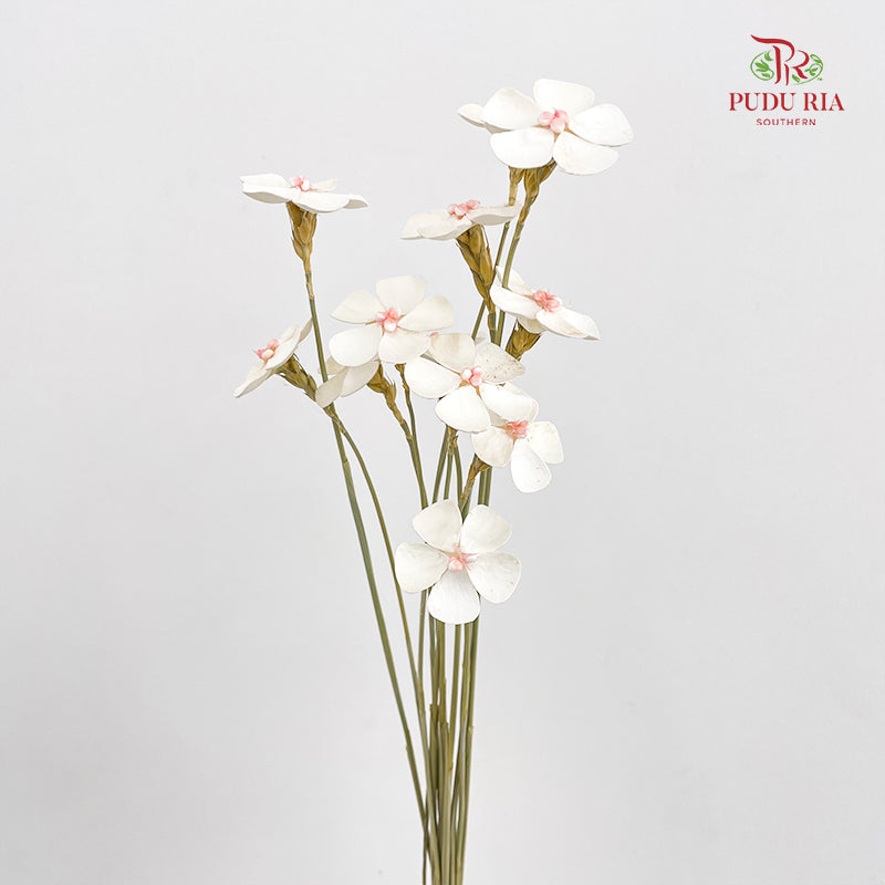 Dry Violet - White Center Pink