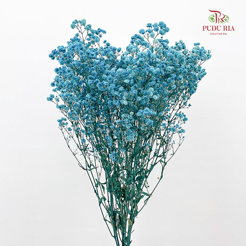 Preservative Baby Breath - Blue
