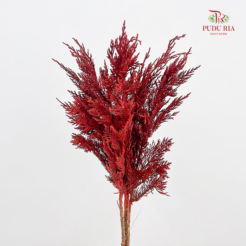 Cedar X mas Dyed Color Red - (Per Bundle)