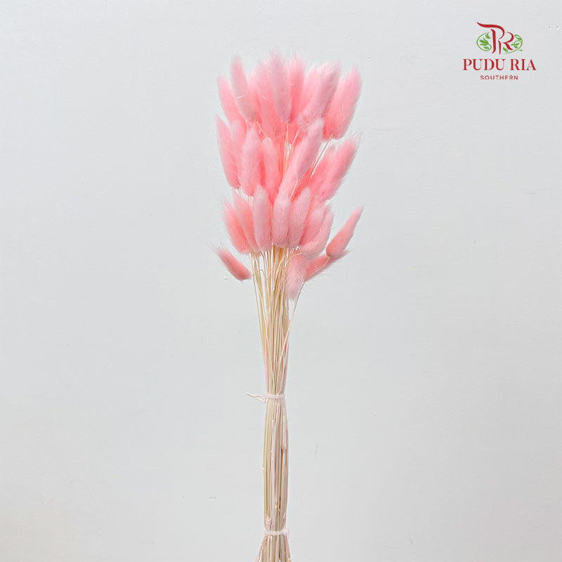 Dry Bunny Tails - Pink